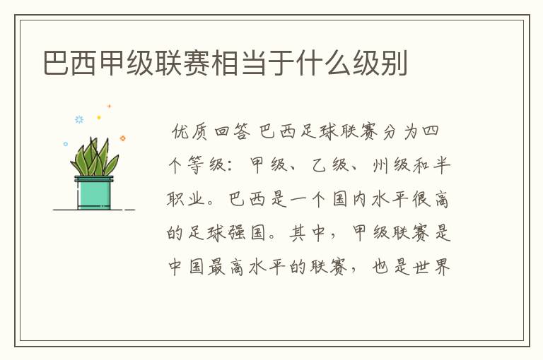 巴西甲级联赛相当于什么级别