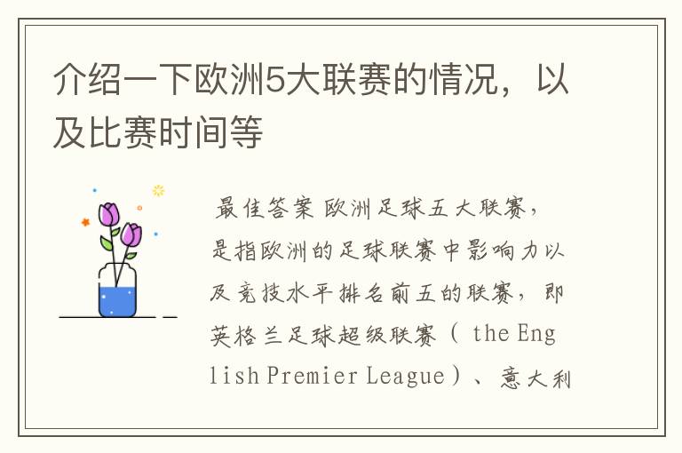 介绍一下欧洲5大联赛的情况，以及比赛时间等