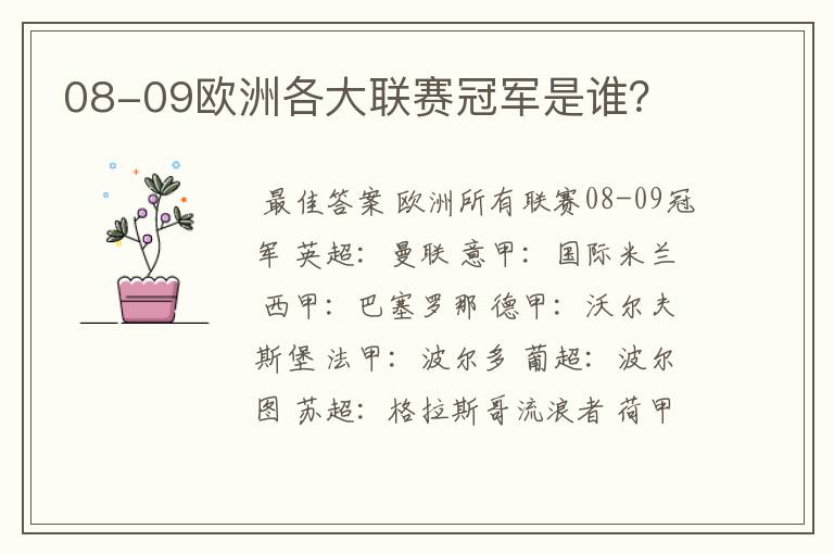 08-09欧洲各大联赛冠军是谁？