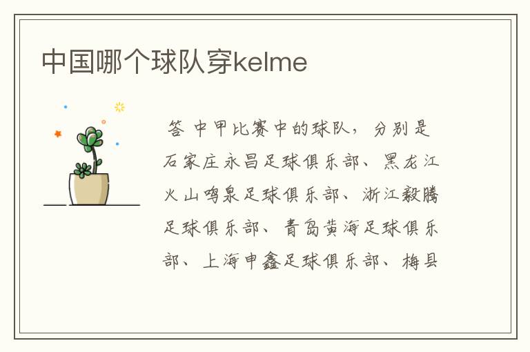 中国哪个球队穿kelme