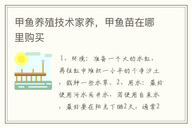 甲鱼养殖技术家养，甲鱼苗在哪里购买