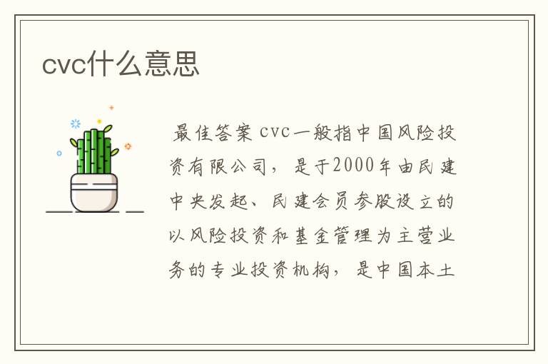 cvc什么意思