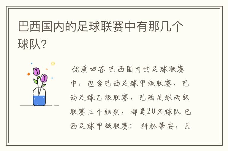 巴西国内的足球联赛中有那几个球队？