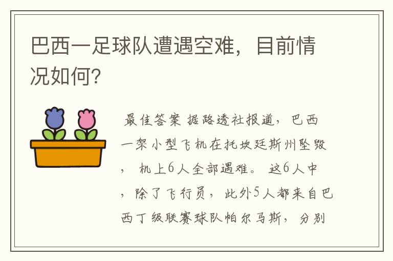 巴西一足球队遭遇空难，目前情况如何？