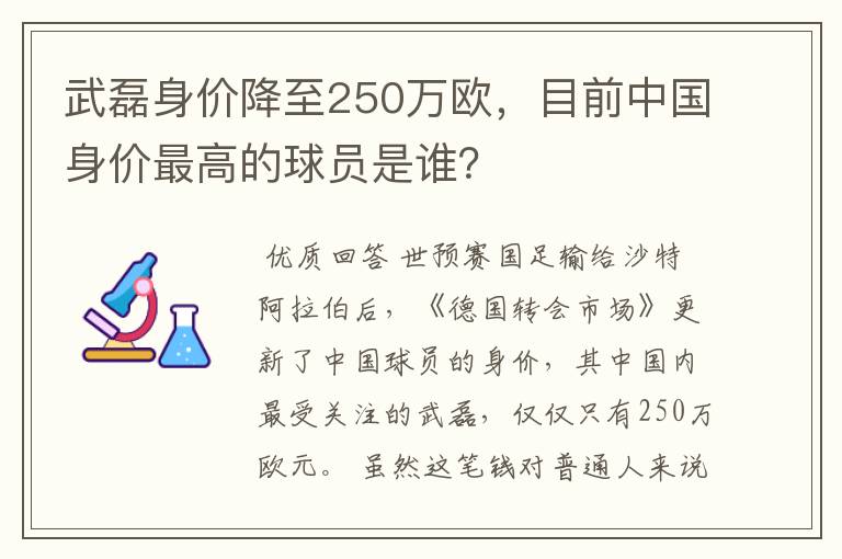 武磊身价降至250万欧，目前中国身价最高的球员是谁？