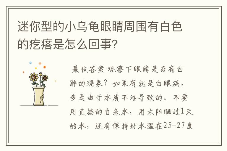 迷你型的小乌龟眼睛周围有白色的疙瘩是怎么回事？