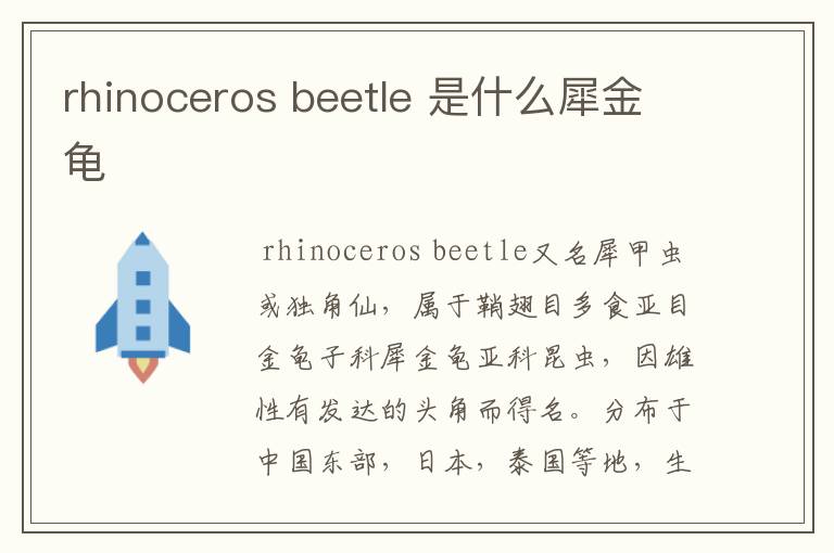 rhinoceros beetle 是什么犀金龟