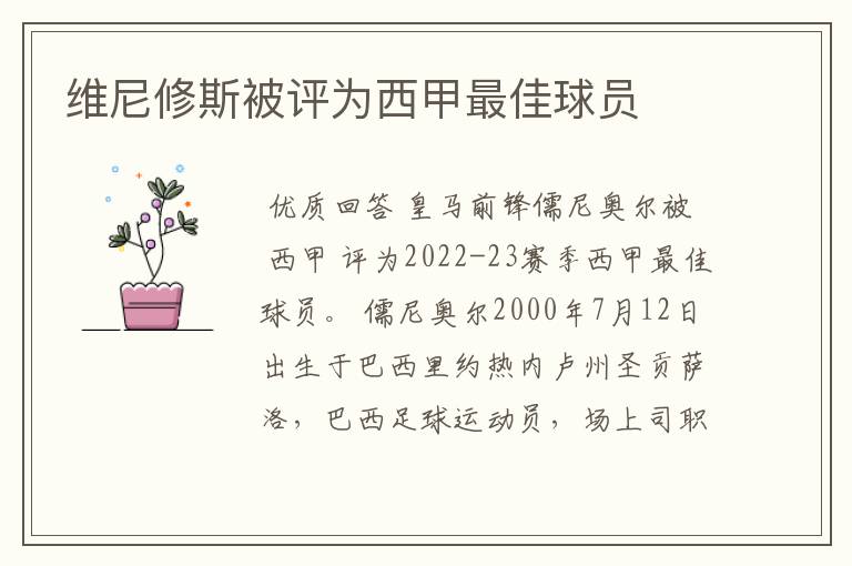 维尼修斯被评为西甲最佳球员