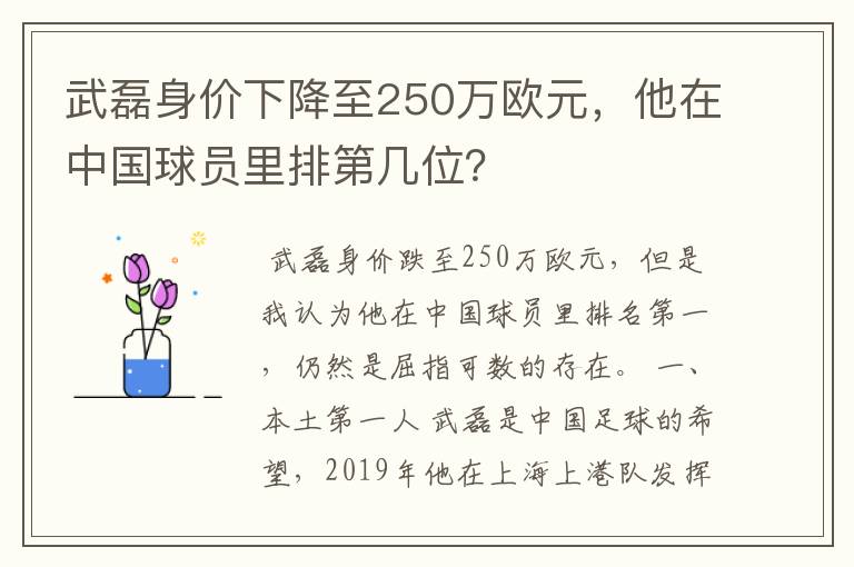 武磊身价下降至250万欧元，他在中国球员里排第几位？