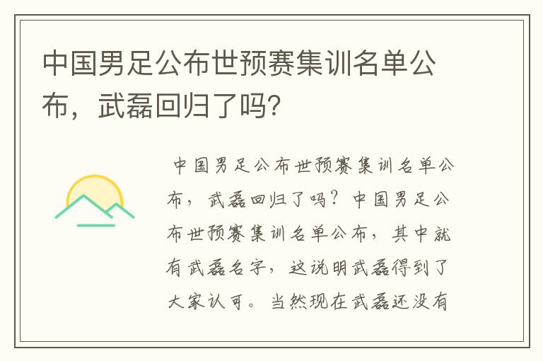 中国男足公布世预赛集训名单公布，武磊回归了吗？