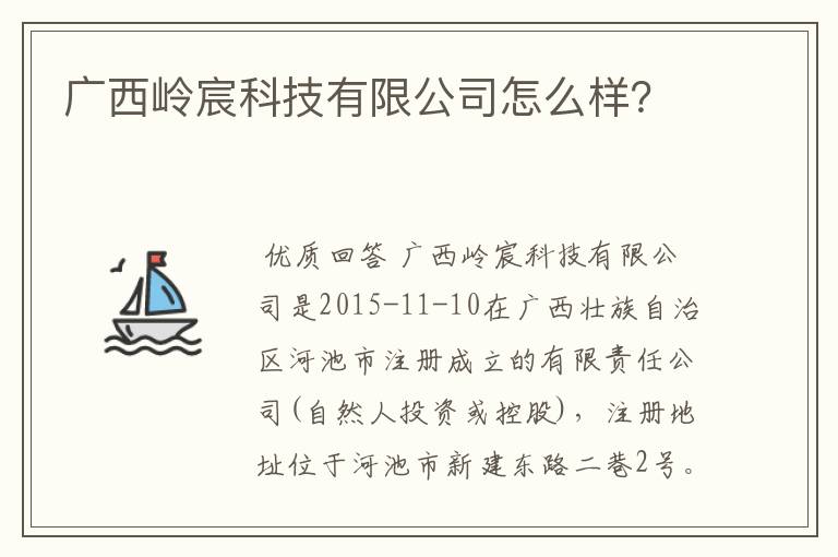 广西岭宸科技有限公司怎么样？