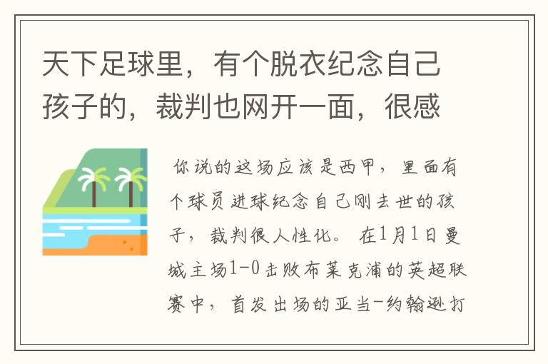 天下足球里，有个脱衣纪念自己孩子的，裁判也网开一面，很感人，那个系列叫什么名字。