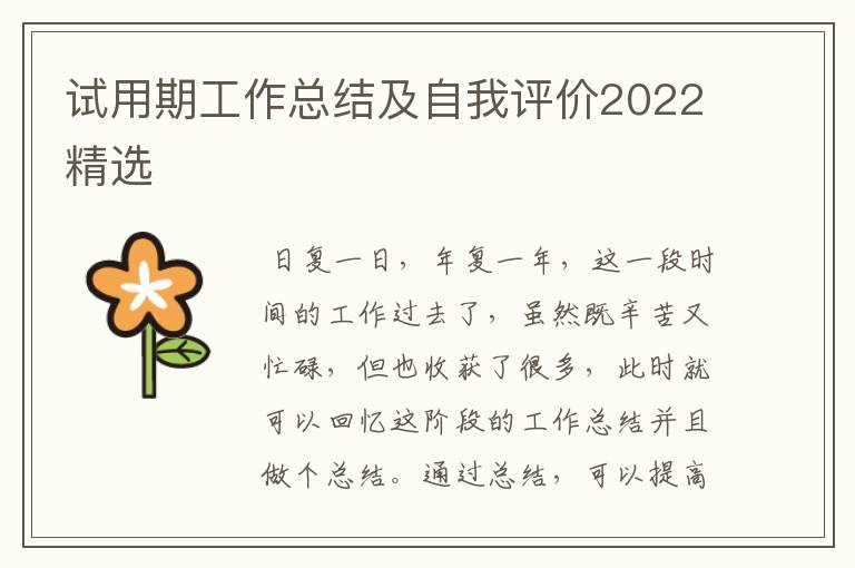 试用期工作总结及自我评价2022精选