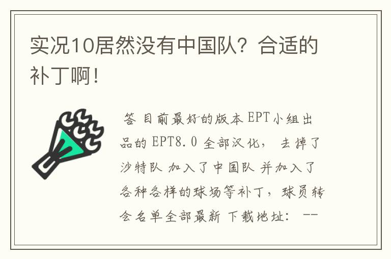 实况10居然没有中国队？合适的补丁啊！