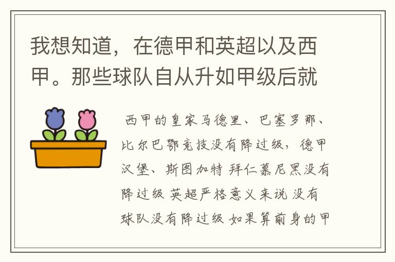 我想知道，在德甲和英超以及西甲。那些球队自从升如甲级后就从没有降过级？