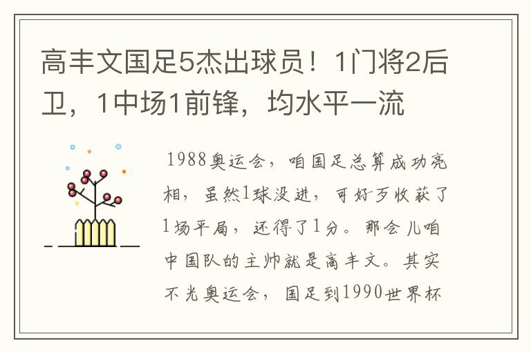 高丰文国足5杰出球员！1门将2后卫，1中场1前锋，均水平一流