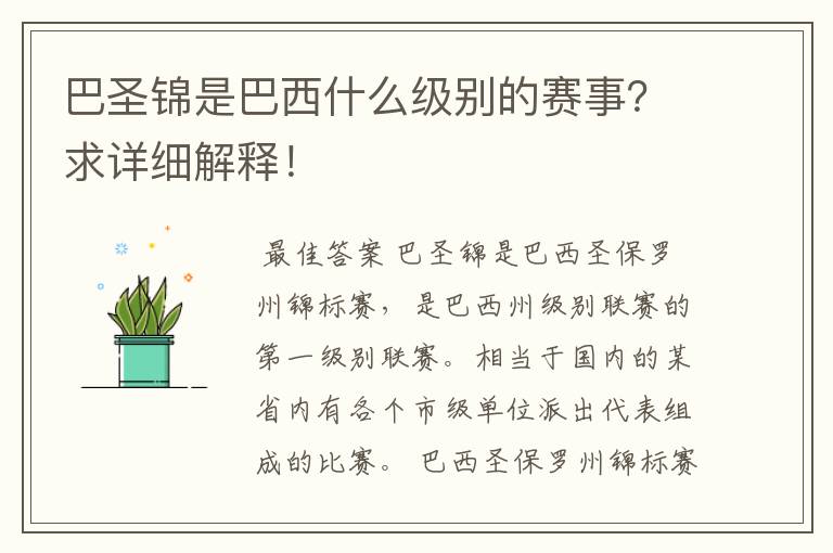 巴圣锦是巴西什么级别的赛事？求详细解释！