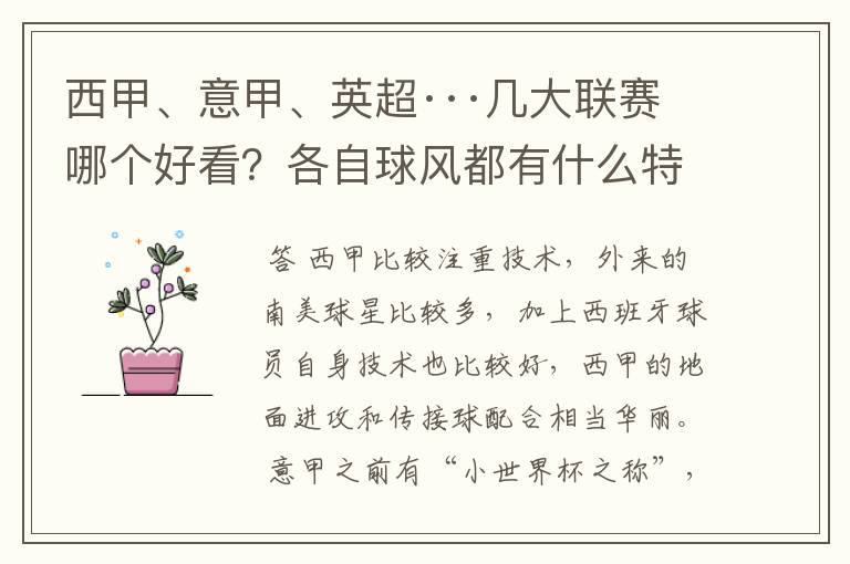 西甲、意甲、英超···几大联赛哪个好看？各自球风都有什么特征？