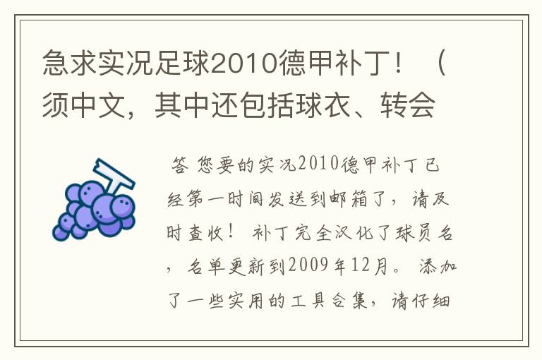 急求实况足球2010德甲补丁！（须中文，其中还包括球衣、转会更新）