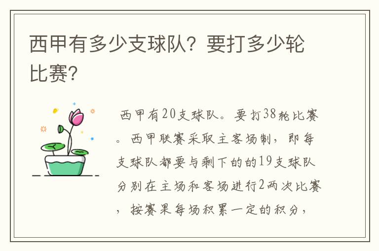 西甲有多少支球队？要打多少轮比赛？