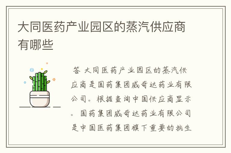 大同医药产业园区的蒸汽供应商有哪些