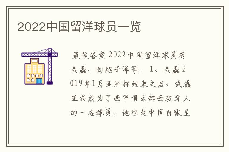 2022中国留洋球员一览