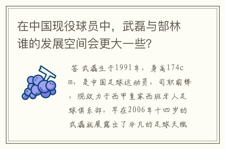 在中国现役球员中，武磊与郜林谁的发展空间会更大一些？