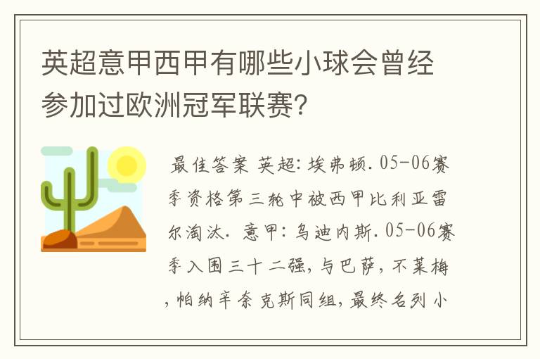 英超意甲西甲有哪些小球会曾经参加过欧洲冠军联赛？