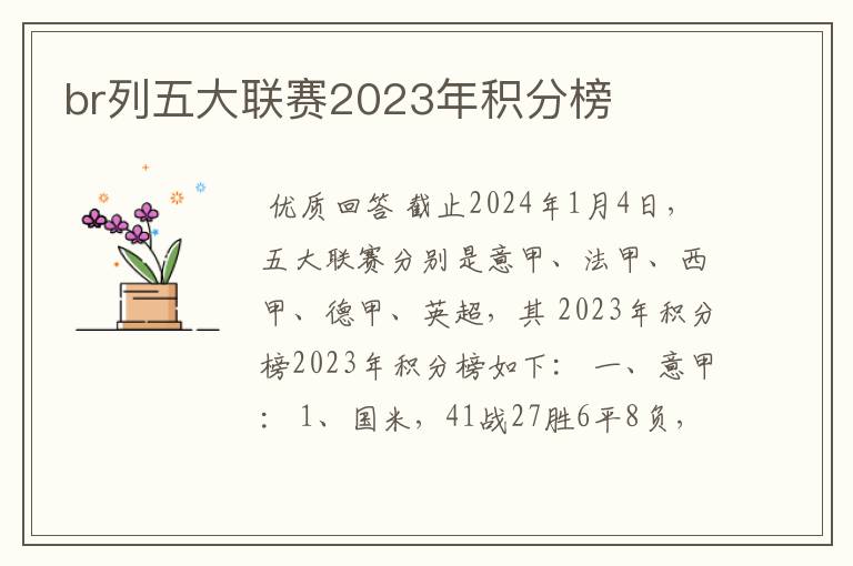 br列五大联赛2023年积分榜