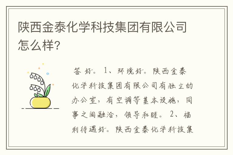 陕西金泰化学科技集团有限公司怎么样?