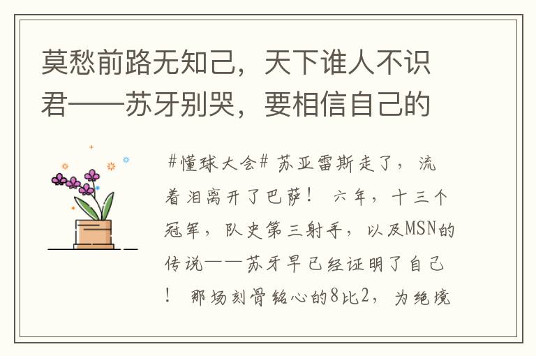 莫愁前路无知己，天下谁人不识君——苏牙别哭，要相信自己的路！