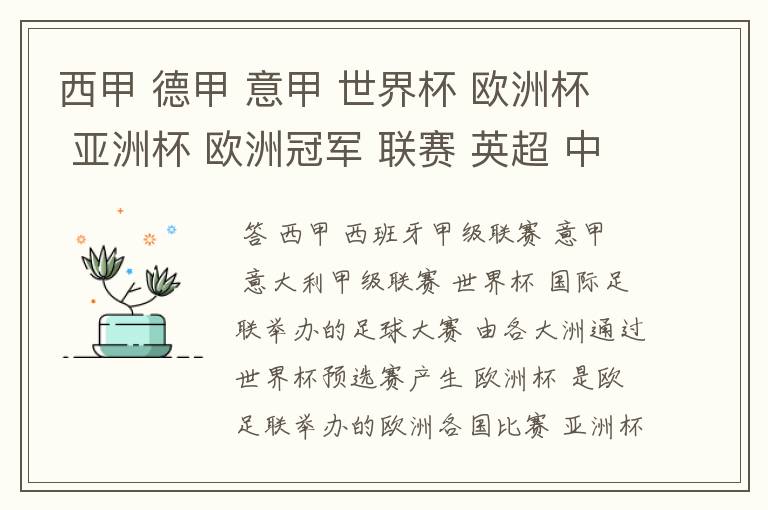 西甲 德甲 意甲 世界杯 欧洲杯 亚洲杯 欧洲冠军 联赛 英超 中超  分别是什么意思啊？