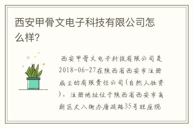 西安甲骨文电子科技有限公司怎么样？