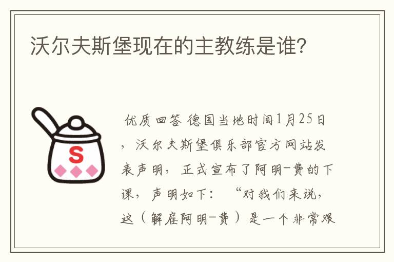 沃尔夫斯堡现在的主教练是谁？