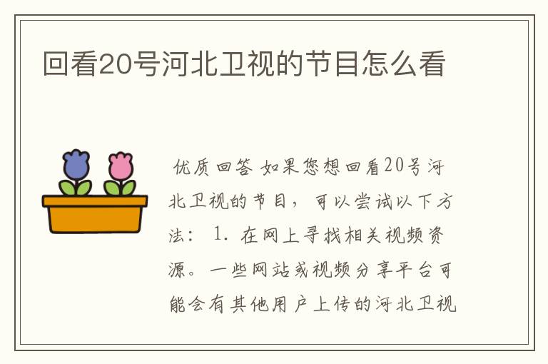 回看20号河北卫视的节目怎么看