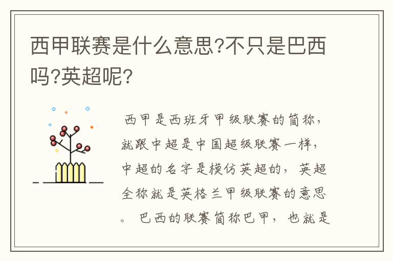 西甲联赛是什么意思?不只是巴西吗?英超呢?