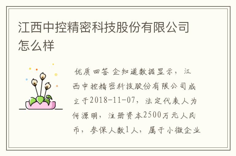 江西中控精密科技股份有限公司怎么样