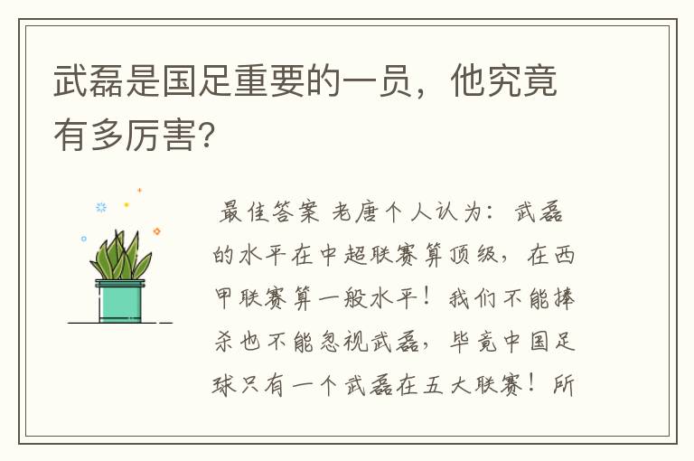 武磊是国足重要的一员，他究竟有多厉害?