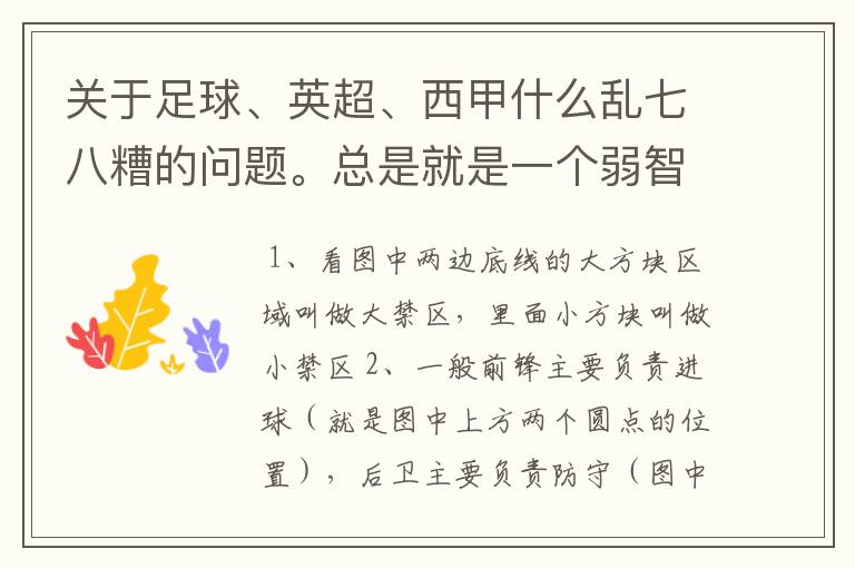 关于足球、英超、西甲什么乱七八糟的问题。总是就是一个弱智新手的N问。