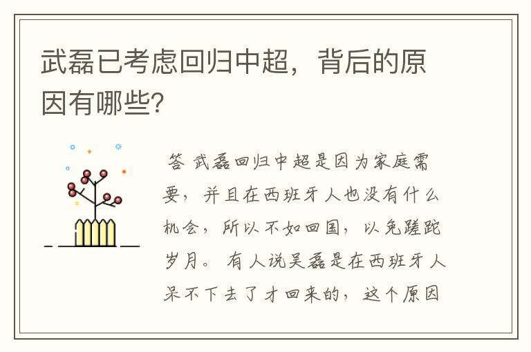 武磊已考虑回归中超，背后的原因有哪些？