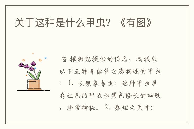 关于这种是什么甲虫？《有图》