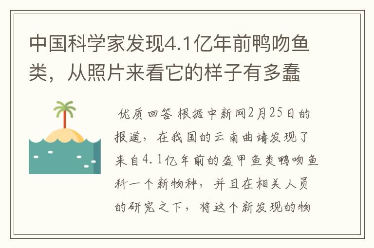 中国科学家发现4.1亿年前鸭吻鱼类，从照片来看它的样子有多蠢萌？