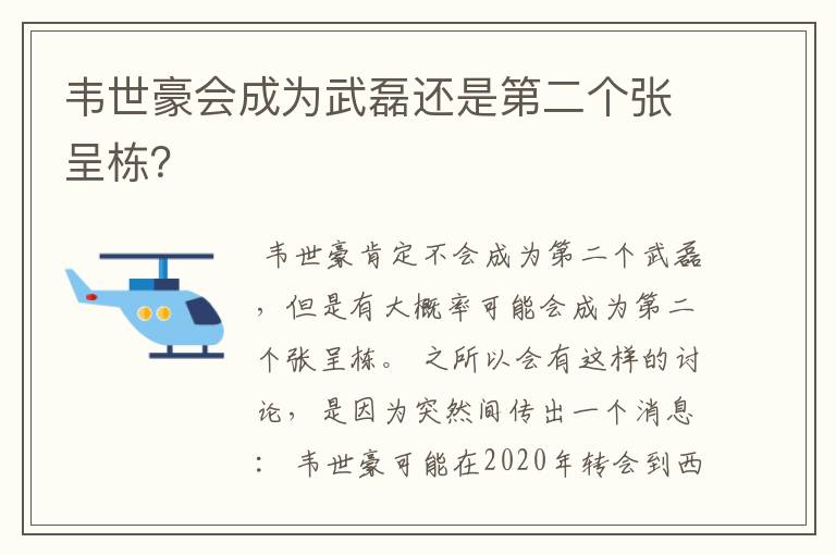 韦世豪会成为武磊还是第二个张呈栋？