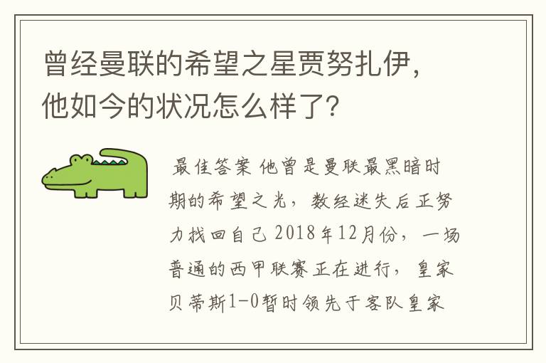 曾经曼联的希望之星贾努扎伊，他如今的状况怎么样了？