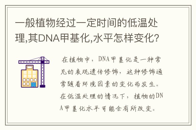 一般植物经过一定时间的低温处理,其DNA甲基化,水平怎样变化？