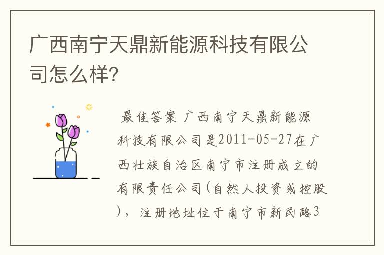 广西南宁天鼎新能源科技有限公司怎么样？