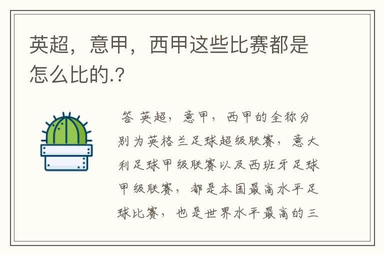 英超，意甲，西甲这些比赛都是怎么比的.?