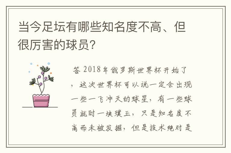 当今足坛有哪些知名度不高、但很厉害的球员？