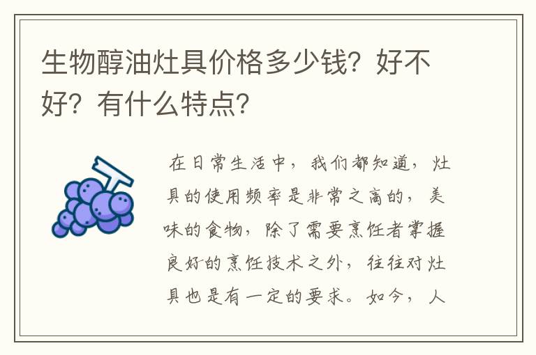 生物醇油灶具价格多少钱？好不好？有什么特点？