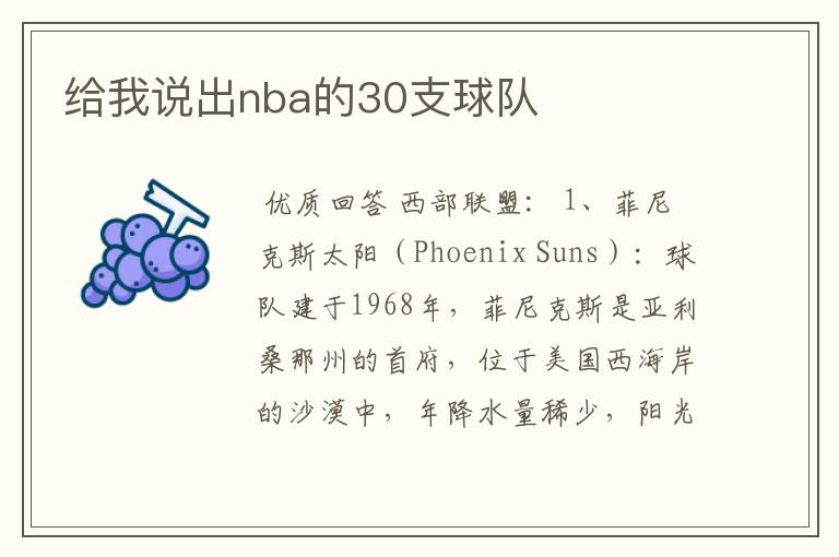 给我说出nba的30支球队